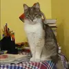 Отзыв от Катюша Пименова
